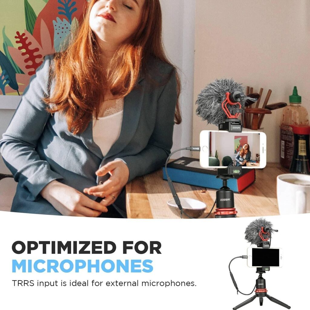 Câble Adaptateur TRS Vers TRRS Câble De Convertisseur TRS Vers TRRS, Connecteur D'adaptateur De