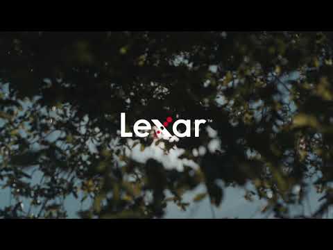 Lexar Professional 2000x SDHC/SDXC UHS-II U3 (V90)
