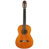 Guitares
