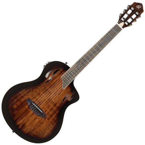 Guitares électro-acoustiques
